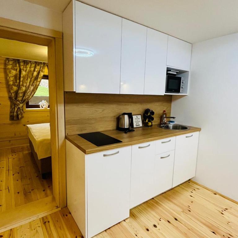 Aura Durmitor apartments - One-Bedroom Apartment - 12