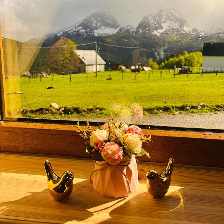 Aura Durmitor apartments - One-Bedroom Apartment - 16