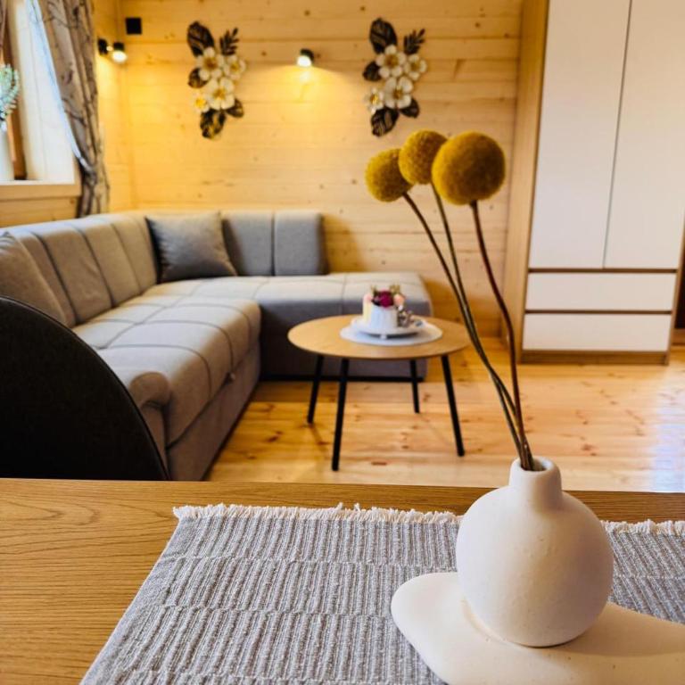 Aura Durmitor apartments - One-Bedroom Apartment - 17