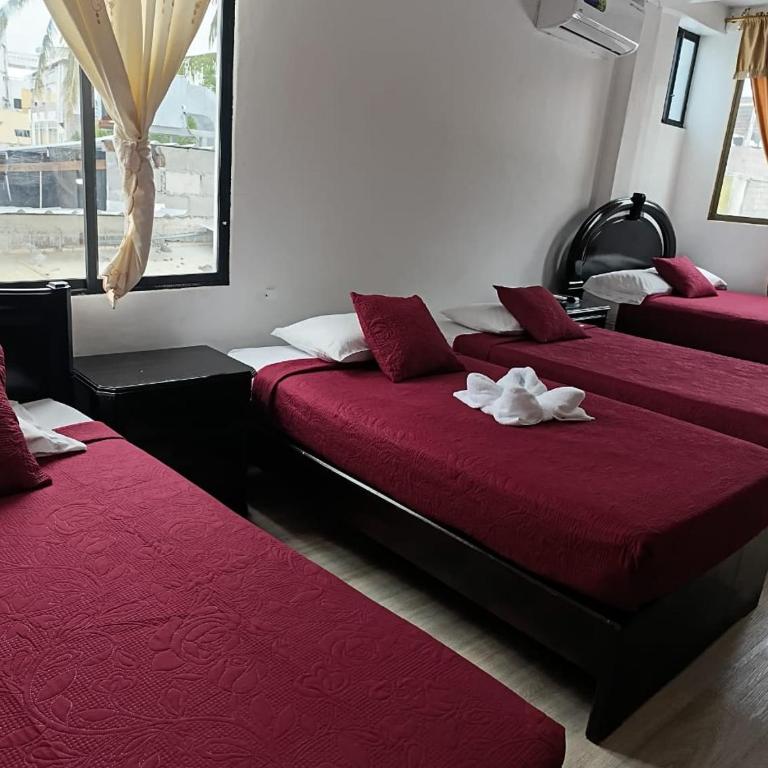 Flightless Cormorant - Comfort Quadruple Room - 4