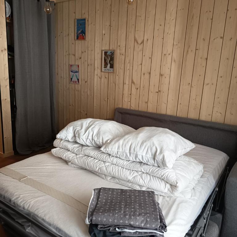Le nid de l'isard, draps et serviettes fournies au Pied des télécabines, Centre ville et Thermes - Apartment mit 1 Schlafzimmer - 11