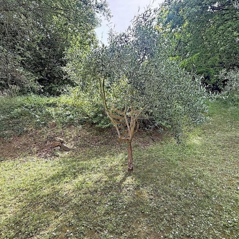 Le Jardin Aloes park - Appartement 1 Chambre - Vue sur Jardin - 21