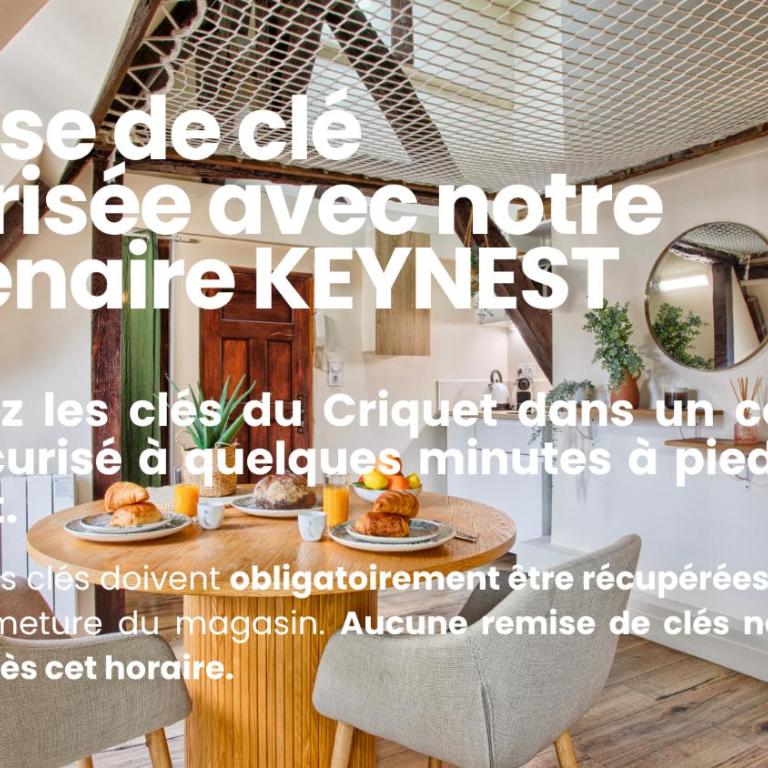 Le Criquet - Hypercentre - Filet de détente - Apartment mit 1 Schlafzimmer - 7