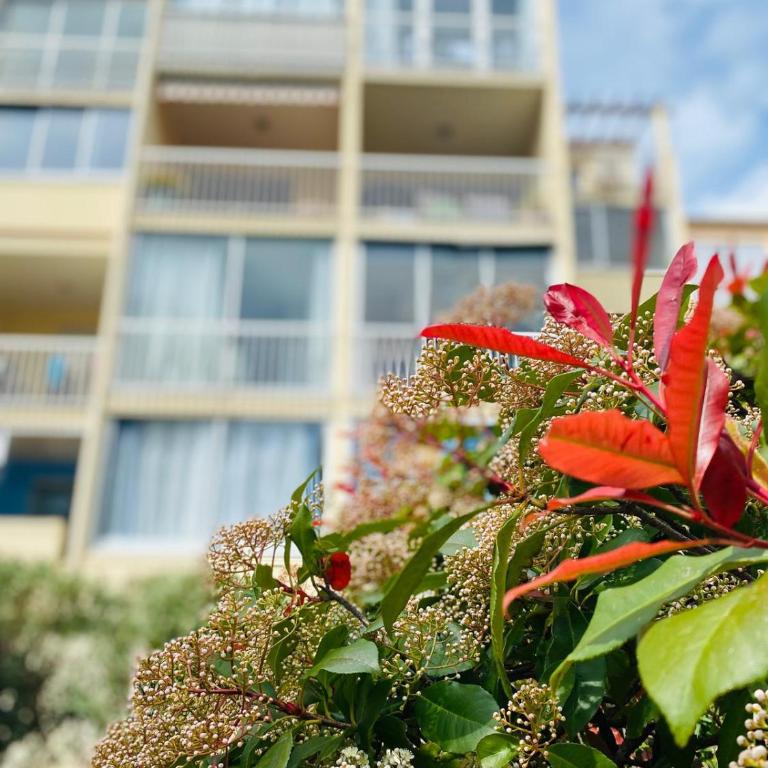Cocon Sète Corniche, plages à pied, parking privé - Apartment mit 2 Schlafzimmern - 3