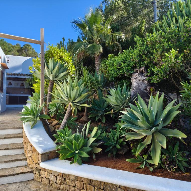 Casa Rasgos - Villa con Piscina, Sauna y Barbacoa - Villa - 1