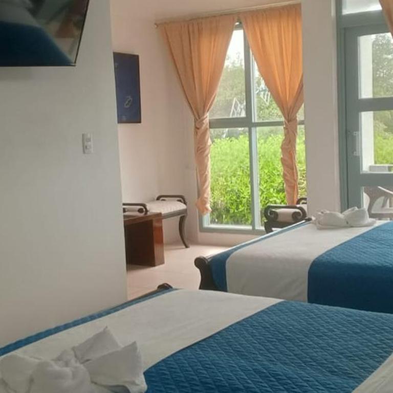 Flightless Cormorant - Superior Double or Twin Room with City View - 4