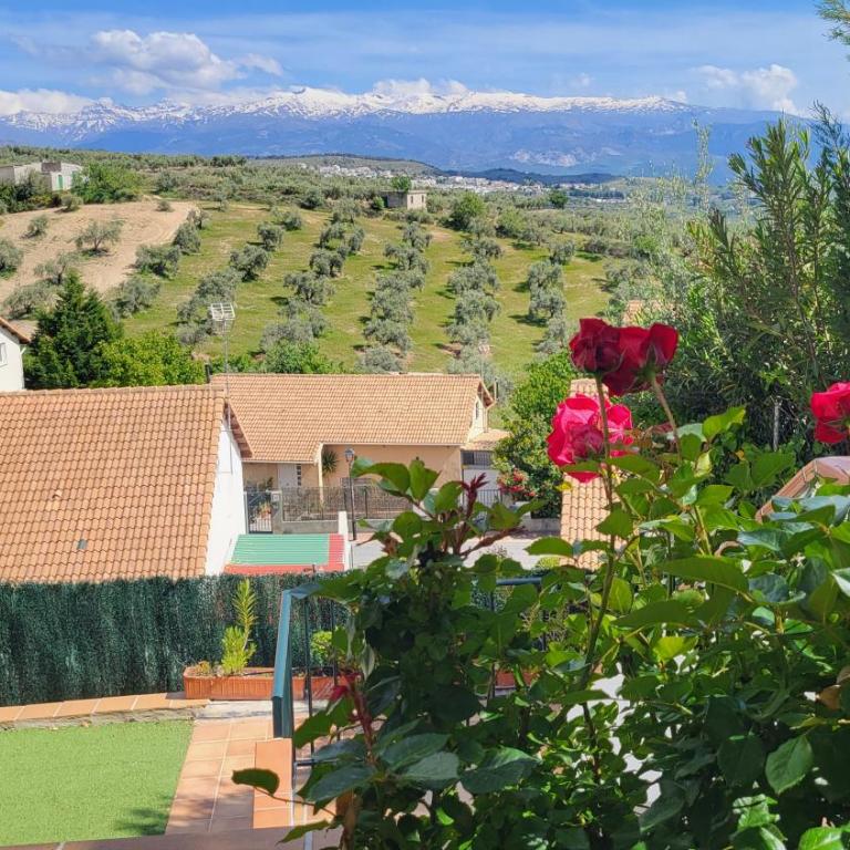 Villa Alfaguara-Holiday Home Granada & Sierra Nevada - Chalet - 85