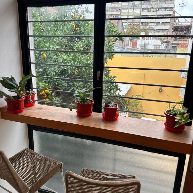 Departamento Lagos - Apartamento de 1 dormitorio - 3
