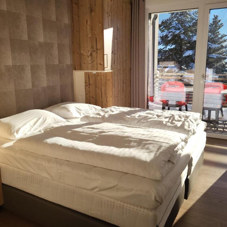 Ski & Golf Suites Zell am See - Apartamento de 1 dormitorio - 7