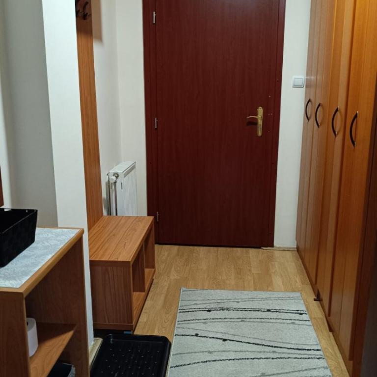 Apartman Centar Vila Jezero - Appartement 1 Chambre - 7