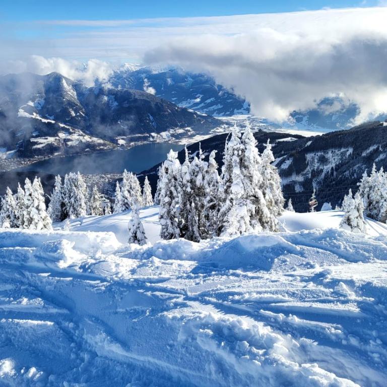 Ski & Golf Suites Zell am See - Apartamento de 1 dormitorio - 14