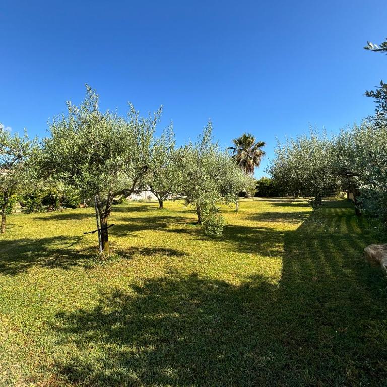 La dimora di Rosalba - One-Bedroom Apartment - 3