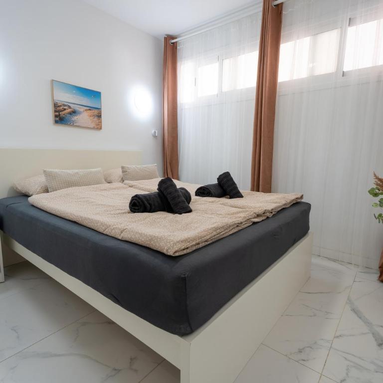 Chaparral Deluxe Pool Oasis - Apartamento de 1 dormitorio - 6