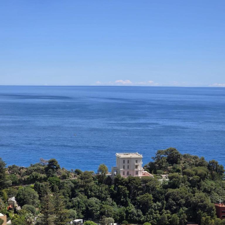 Duplex Residence with Monte Carlo Sea View & 2 Terraces - Appartement 2 Chambres - 7
