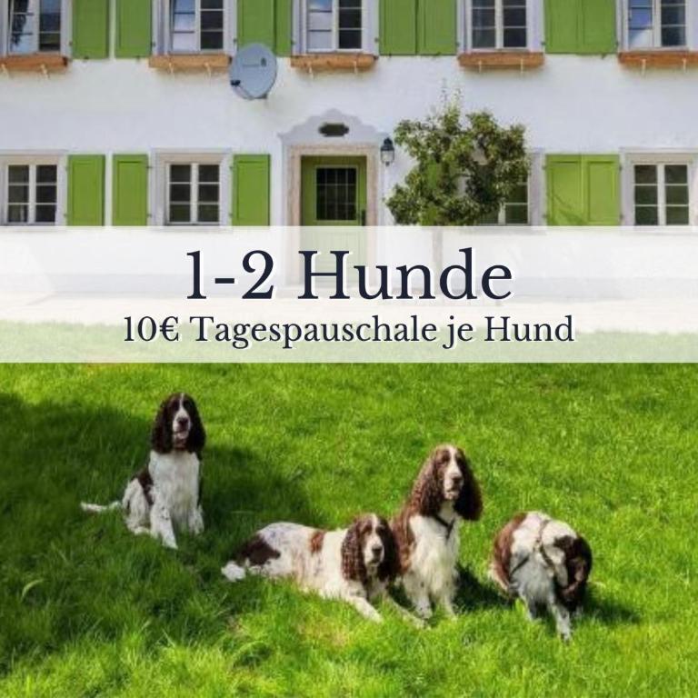 KURFÜRSTLICHES JÄGERHAUS - by "Schloss Gessenberg" - luxurious vacation home with mountain views, suitable for families and friends - Apartment mit 2 Schlafzimmern und Terrasse - 23