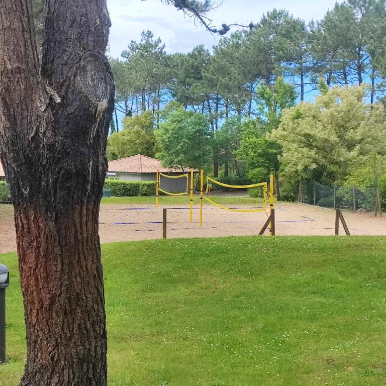 Studio dans résidence Pierre et Vacances avec vue sur piscine entre plage et golf - Studio avec Balcon - 2