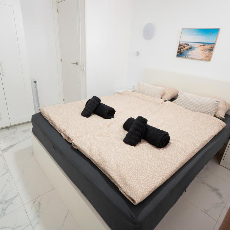Chaparral Deluxe Pool Oasis - Apartamento de 1 dormitorio - 18