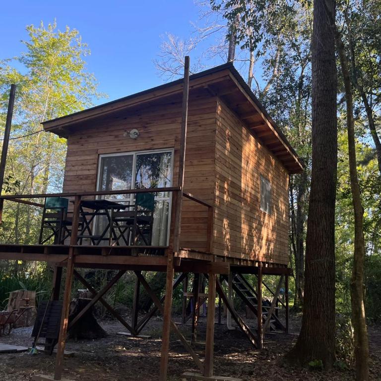 Sans Souci - Apartamento de 1 dormitorio - 17