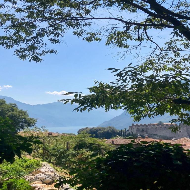 Il Nido dell'Artista Apartment with Pool - Happy Rentals - Appartement avec Vue sur la Montagne - 28