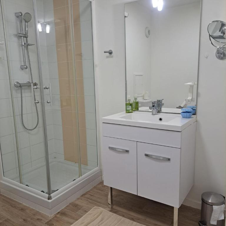 Studio cosy 5 min gare et centre - Apartment mit 1 Schlafzimmer - 15