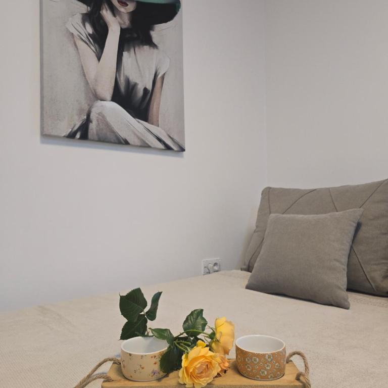 Studio sa garažom - Apartman sa 1 Spavaćom Sobom - 2