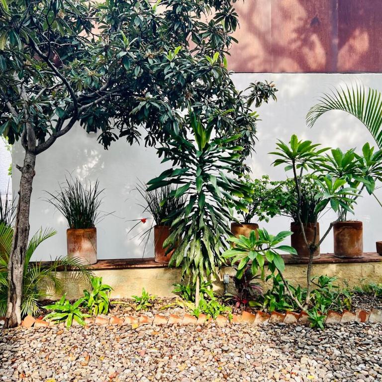 Aves de Xochimilco House Center - Six-Bedroom House - 4