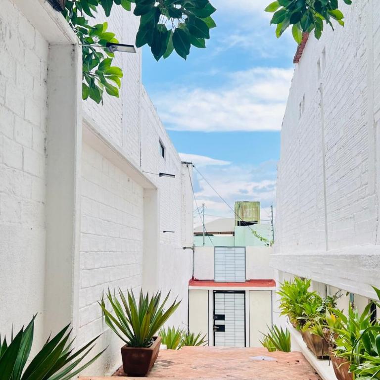 Aves de Xochimilco House Center - Six-Bedroom House - 18
