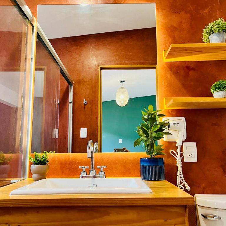 Aves de Xochimilco House Center - Six-Bedroom House - 9