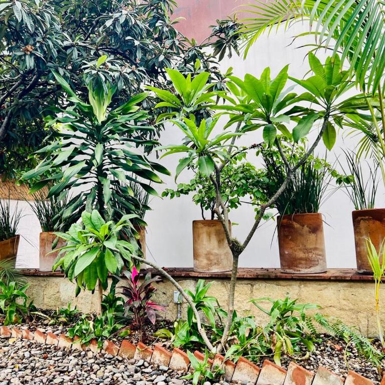 Aves de Xochimilco House Center - Six-Bedroom House - 25