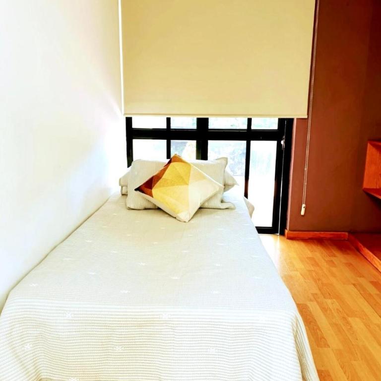 Aves de Xochimilco House Center - Six-Bedroom House - 39