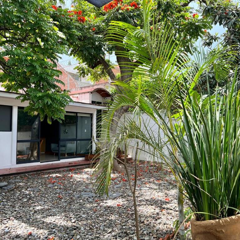 Aves de Xochimilco House Center - Six-Bedroom House - 40