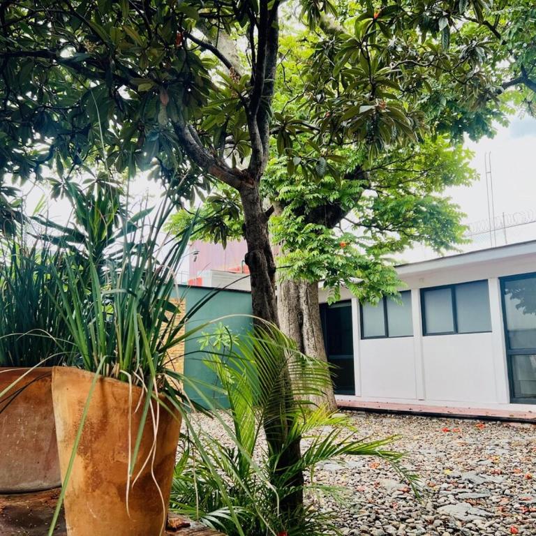 Aves de Xochimilco House Center - Six-Bedroom House - 43
