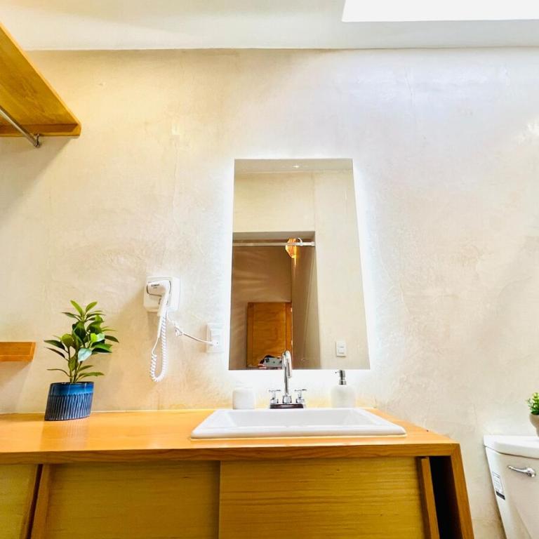 Aves de Xochimilco House Center - Six-Bedroom House - 44