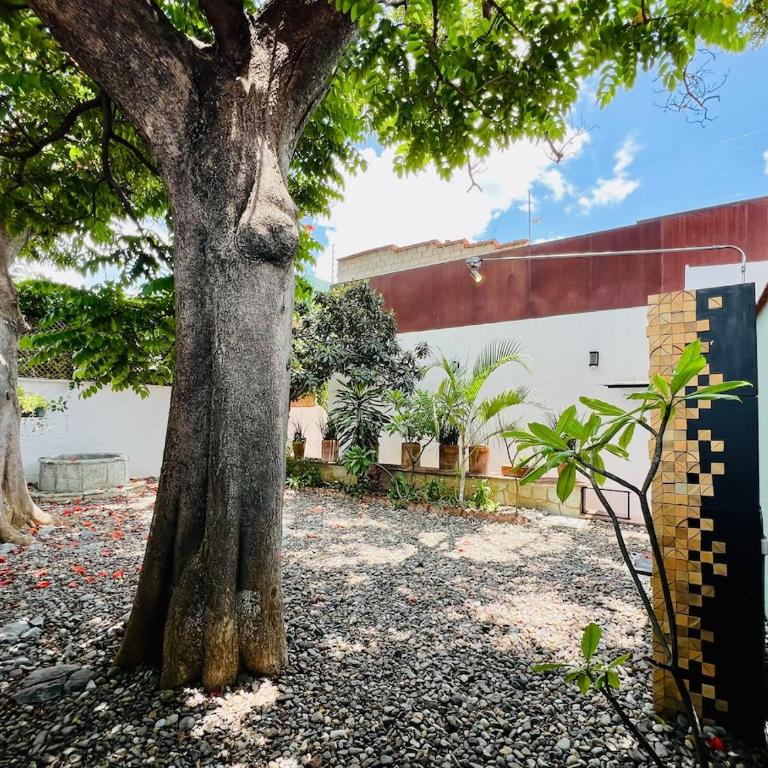 Aves de Xochimilco House Center - Six-Bedroom House - 70