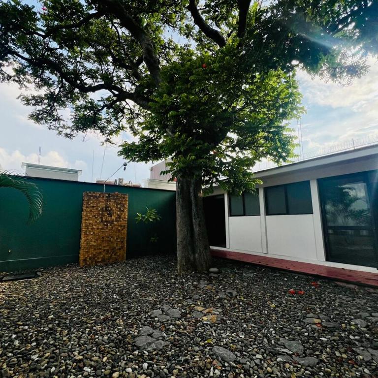 Aves de Xochimilco House Center - Six-Bedroom House - 93