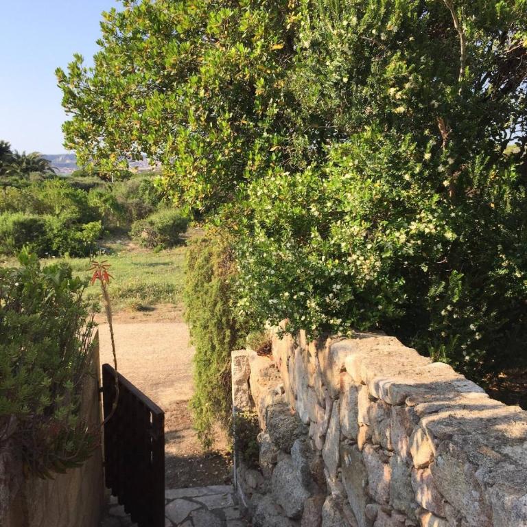 Punta Saraceno - Three-Bedroom House - 15
