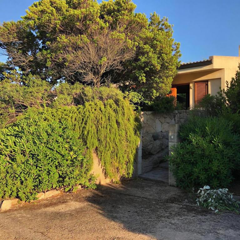 Punta Saraceno - Three-Bedroom House - 17