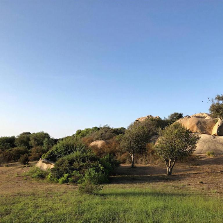 Punta Saraceno - Three-Bedroom House - 23
