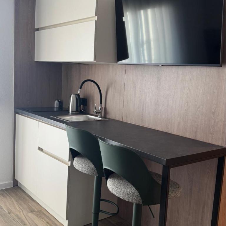TS Yard Apartments - Studio with Balcony - 5