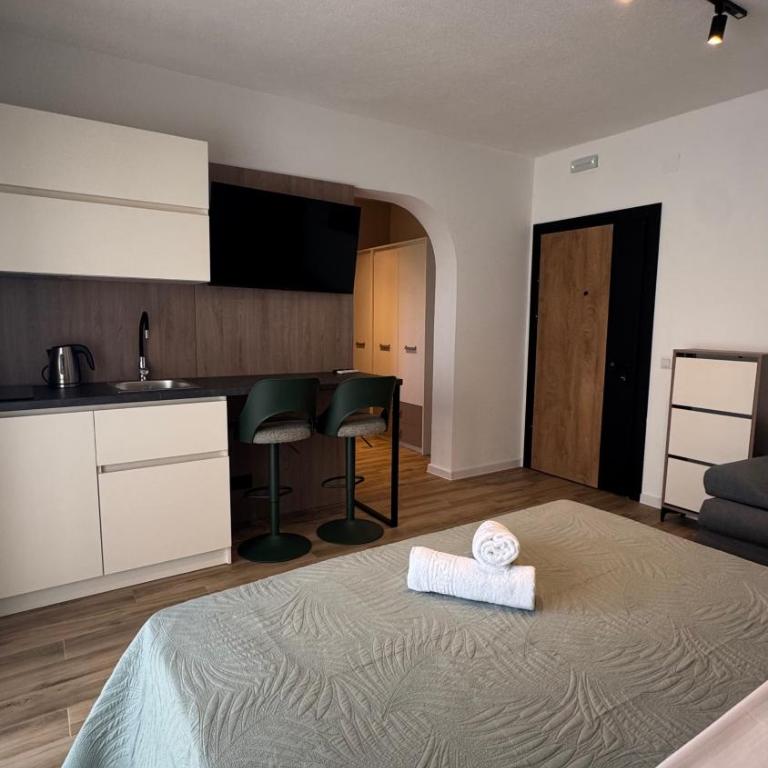 TS Yard Apartments - Studio with Balcony - 16