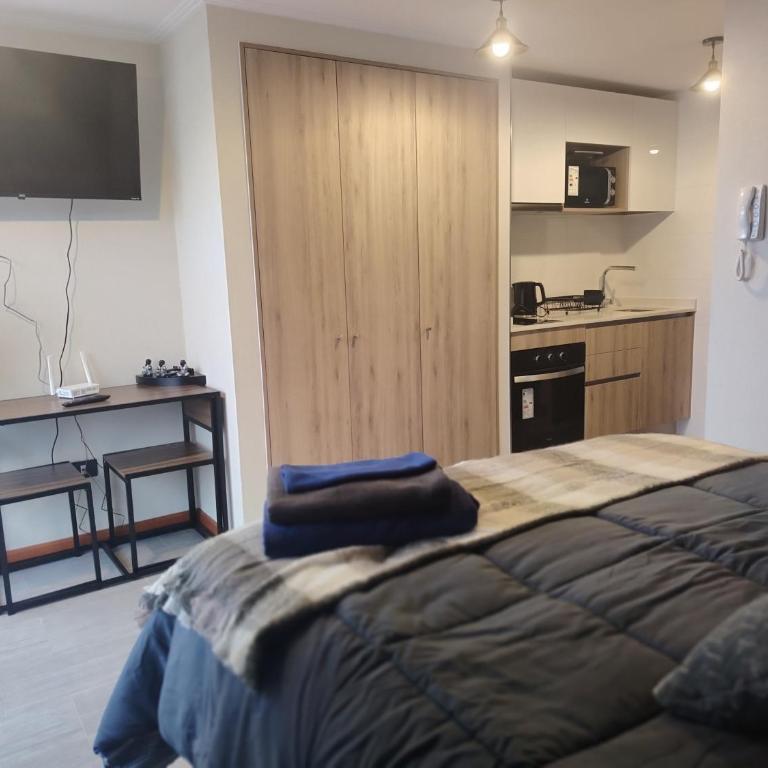 Distrito Cavancha Studio - Apartamento de 1 dormitorio - 4