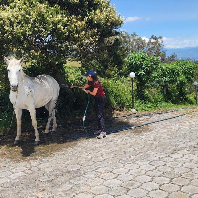 Hacienda San Nicolas de Cuicocha - One-Bedroom Chalet - 21