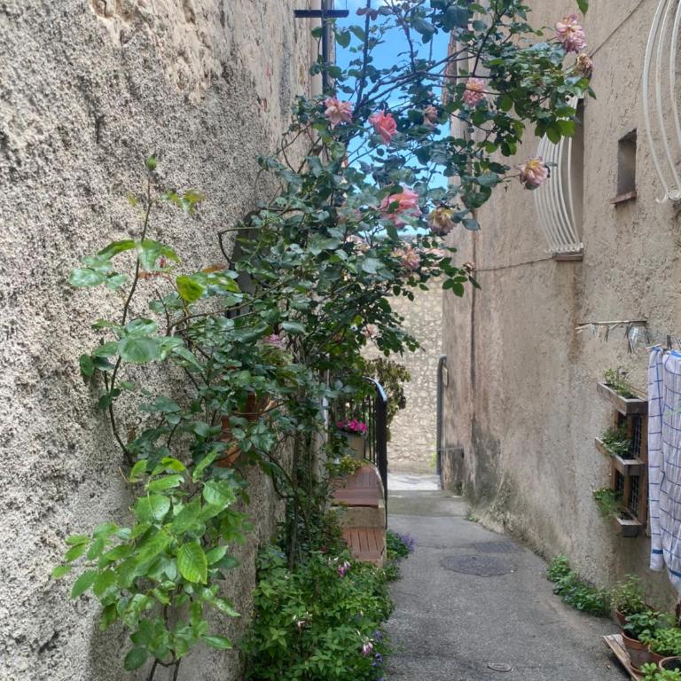 Charming Provençal House Between Sea and Mountain - Maison 3 Chambres - 59
