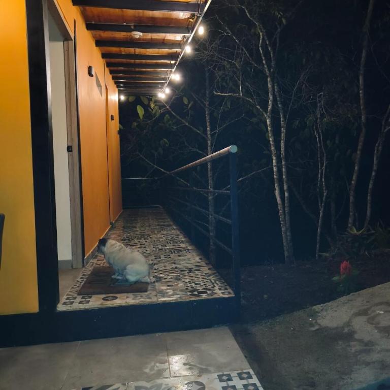 Refugio de lujo en medio de las montañas - Apartamento de 1 dormitorio - 17