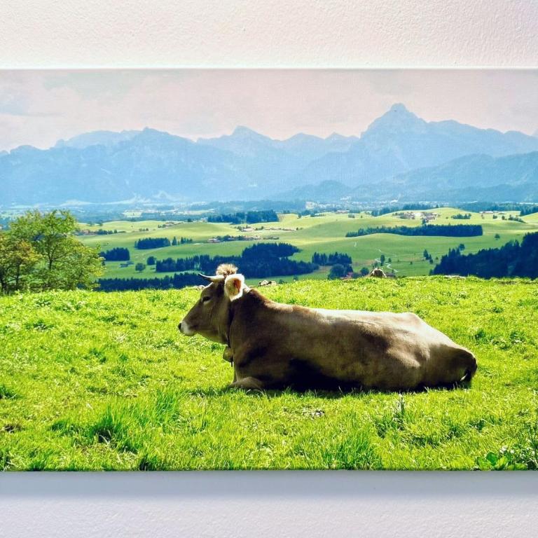 Königlicher Schloss- und Alpenblick - Appartamento - 24