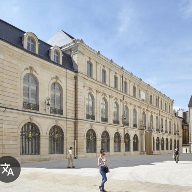 Appartement chic et cosy proche centre Dijon - Appartement 2 Chambres - 18