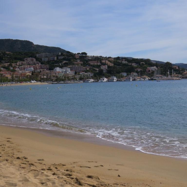 Parc du LAVANDOU - Appartamento con 1 Camera da Letto - 2