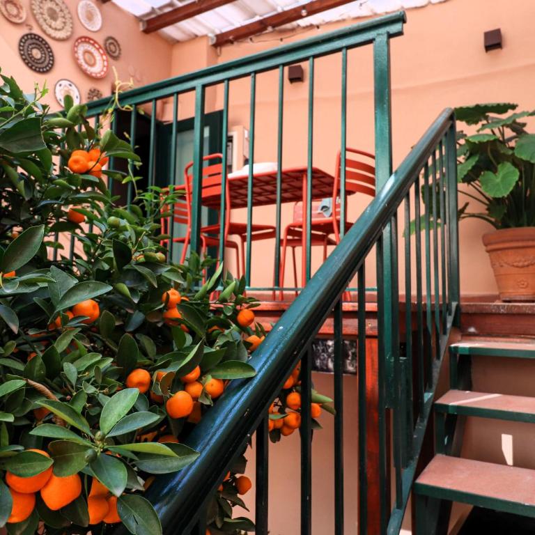 Colosseo Garden Lodge - Vacation Home - 3