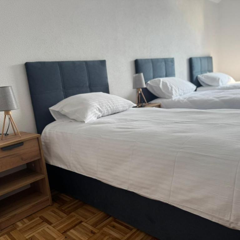 Apartments & Spa - Insula Vita - Deluks Apartman sa 3 Spavaće Sobe - 1