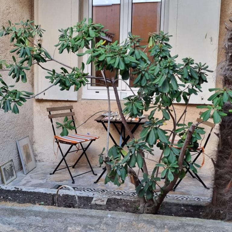 Logement à 3 minutes de la gare - Apartment mit 1 Schlafzimmer - 25